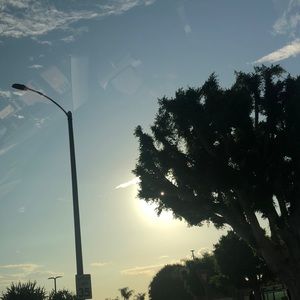 Meet your Posher, Brady